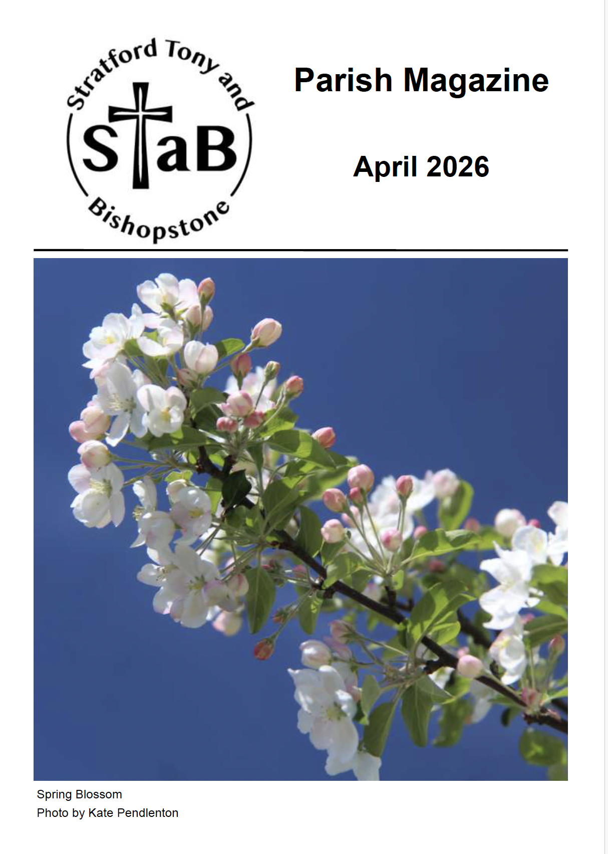 Cover of STaB April 2026